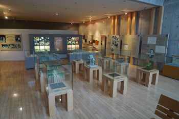 常設展　牧野富太郎と横倉山